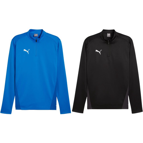 Puma herren teamgoal - herren, training